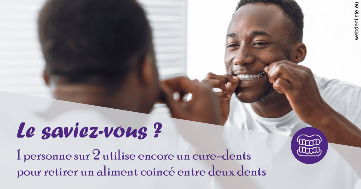 https://selarl-dr-philippe-schweizer.chirurgiens-dentistes.fr/Cure-dents 2