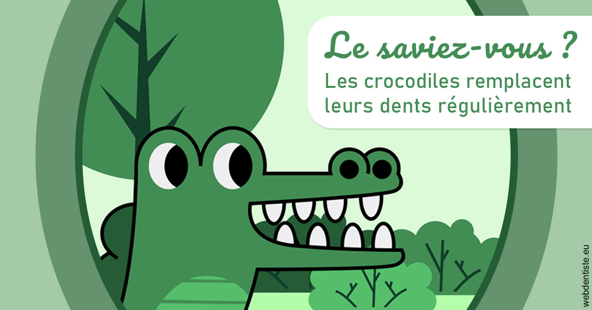 https://selarl-dr-philippe-schweizer.chirurgiens-dentistes.fr/Crocodiles 2