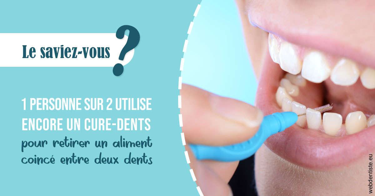 https://selarl-dr-philippe-schweizer.chirurgiens-dentistes.fr/Cure-dents 1