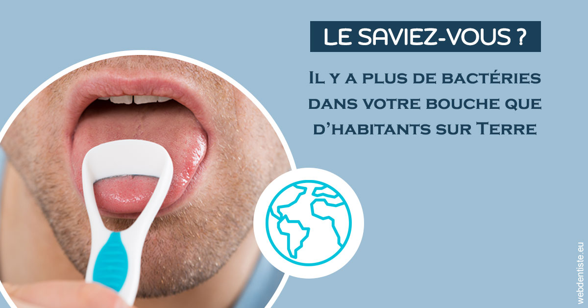 https://selarl-dr-philippe-schweizer.chirurgiens-dentistes.fr/Bactéries dans votre bouche 2